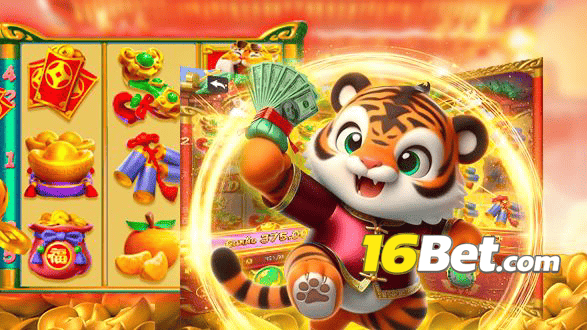 16BET Rio de Janeiro - Licenses